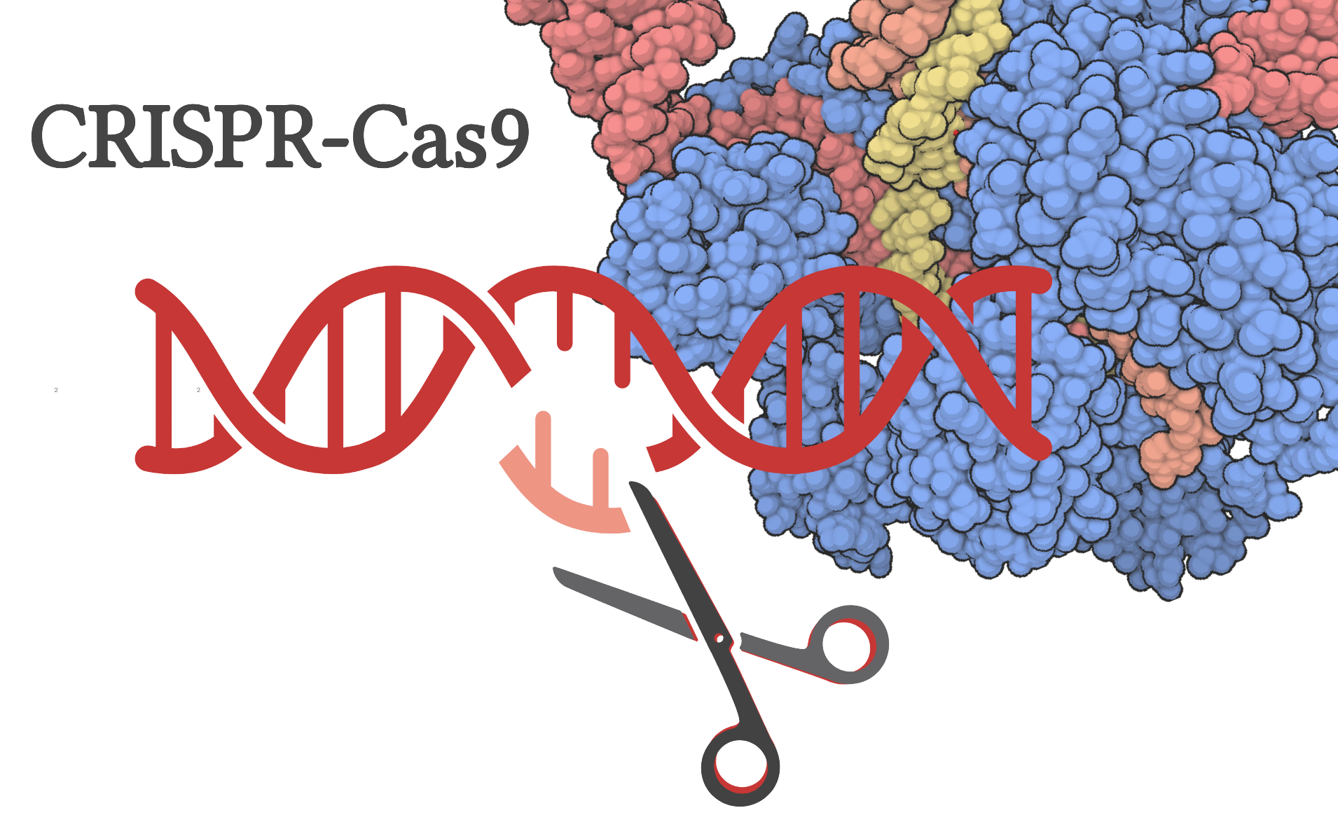 CRISPR Cas9 Science up