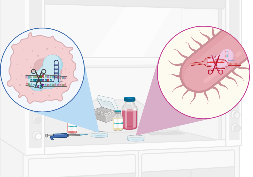 CRISPR Cas 9