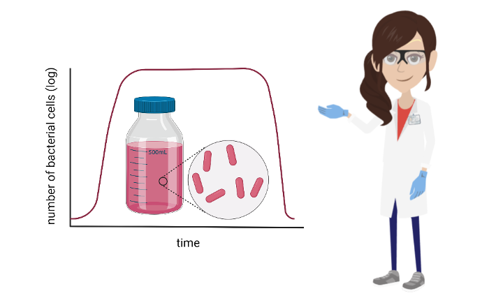 bacterial growth hypothesis example