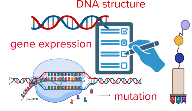 genetics exam preparation